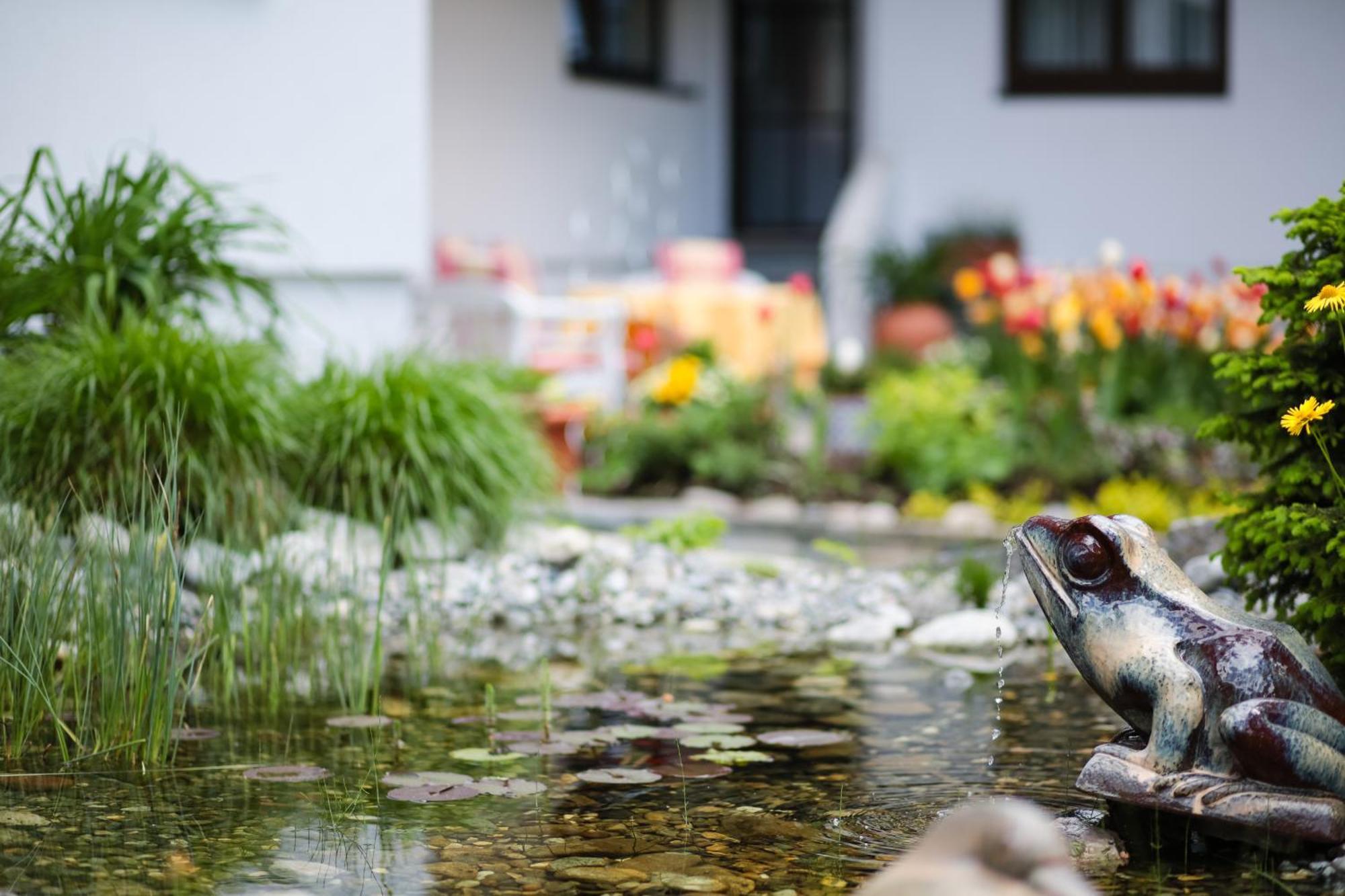 Biohotel Schweitzer 米耶明 外观 照片